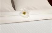 Туры в отель Holiday Inn Express Downtown