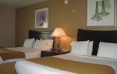 Туры в отель Holiday Inn Express Downtown