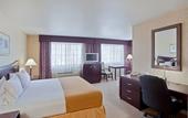 Туры в отель Holiday Inn Express Downtown