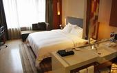 Туры в отель Grand Mercure Dongguan Huiyuan