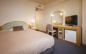Туры в отель Matsuyama Tokyu REI Hotel