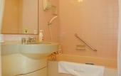Туры в отель Matsuyama Tokyu REI Hotel