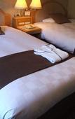 Туры в отель Matsuyama Tokyu REI Hotel