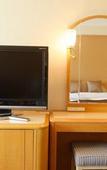 Туры в отель Matsuyama Tokyu REI Hotel