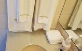 Туры в отель Matsuyama Tokyu REI Hotel