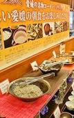 Туры в отель Matsuyama Tokyu REI Hotel