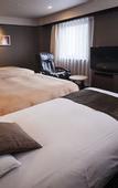 Туры в отель Matsuyama Tokyu REI Hotel