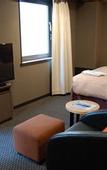 Туры в отель Matsuyama Tokyu REI Hotel