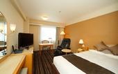 Туры в отель Matsuyama Tokyu REI Hotel