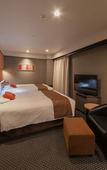 Туры в отель Matsuyama Tokyu REI Hotel