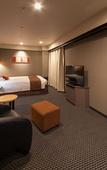 Туры в отель Matsuyama Tokyu REI Hotel