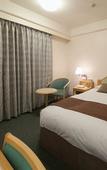 Туры в отель Matsuyama Tokyu REI Hotel