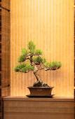 Туры в отель Takamatsu Tokyu REI Hotel