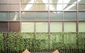 Туры в отель DoubleTree by Hilton Jiaxing