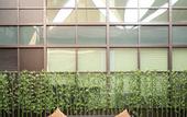 Туры в отель DoubleTree by Hilton Jiaxing