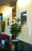 Туры в отель Noblesse Tourist Hotel