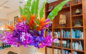 Туры в отель Hotel Palm Royal Resort Kokusai Street