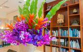 Туры в отель Hotel Palm Royal Resort Kokusai Street