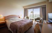 Туры в отель Hotel Springs Makuhari