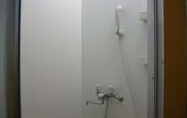 Туры в отель Fujikawaguchiko Onsen Hotel Asafuji