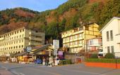 Туры в отель Fujikawaguchiko Onsen Hotel Asafuji