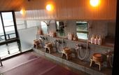 Туры в отель Fujikawaguchiko Onsen Hotel Asafuji