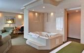 Туры в отель Holiday Inn Express Hotel & Suites Calgary