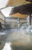Туры в отель Hotel Fuji Tatsugaoka