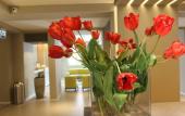 Туры в отель Airone City Hotel