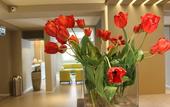 Туры в отель Airone City Hotel