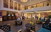 Туры в отель Freesia Hotel