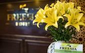 Туры в отель Freesia Hotel