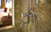 Туры в отель Freesia Hotel