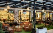 Туры в отель Freesia Hotel