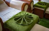 Туры в отель Freesia Hotel