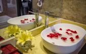 Туры в отель Freesia Hotel