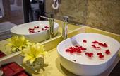 Туры в отель Freesia Hotel