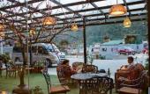 Туры в отель Freesia Hotel