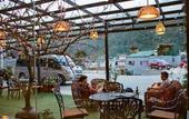 Туры в отель Freesia Hotel