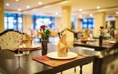 Туры в отель Freesia Hotel
