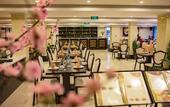 Туры в отель Freesia Hotel