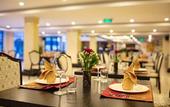 Туры в отель Freesia Hotel