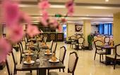 Туры в отель Freesia Hotel