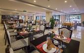 Туры в отель Freesia Hotel