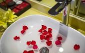 Туры в отель Freesia Hotel