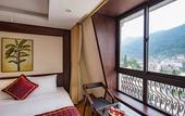 Туры в отель Freesia Hotel