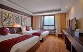 Туры в отель Freesia Hotel
