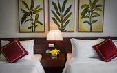Туры в отель Freesia Hotel