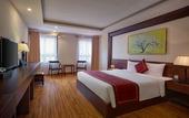 Туры в отель Freesia Hotel