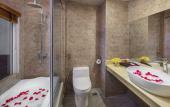 Туры в отель Freesia Hotel